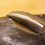 sushidokorokoidumi - 小鰭