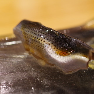 鮨処 こいづみ_0