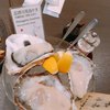 オイスター&フィッシュダイニング かき蔵