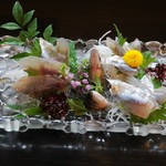 割烹　小川 - 鮎のお造りです。