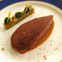 トゥールダルジャン 東京 - 幼鴨フレデリック