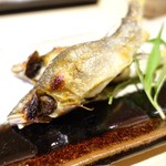 味ひろ - 鮎の食べ比べ