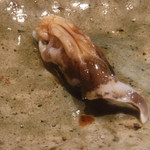 寿し おおはた - 