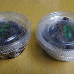 菊水 - お土産用に整えて頂きました