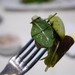 フランス料理 ル・クール - 2018/5/3  リーフ山ほど