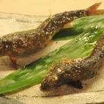 御料理 めなみ - 活鮎の塩焼き②