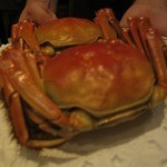 中国飯店 富麗華 - 上海蟹の蒸し物（メス＆オス）