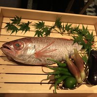 のどぐろ専門 銀座中俣 はなれ - 