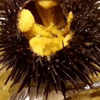 不動前 すし 岩澤 - 