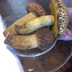 ウシマル - アカヤマドリダケ（地産のキノコ）