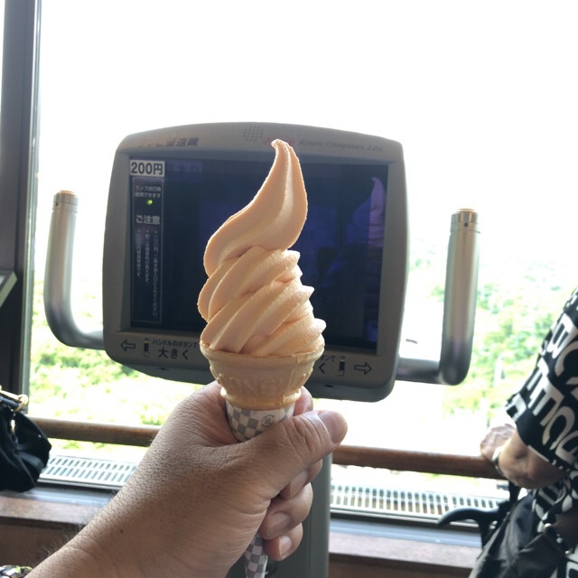 大倉山展望ラウンジ売店 - 西28丁目/ソフトクリーム | 食べログ