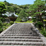 Goryaku Kafe Ichijouan - 黒門をくぐり階段を上ると正面に家康お手植えの松