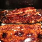 稲城 ヨロシク寿司 - 天然うなぎ（茨城、岡山青うなぎ）