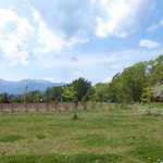 ヤツレン ソフトクリーム売店 - この高原でソフトを食べる、この景色も美味しさをプラスするソースです