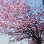 東照宮第一売店 - 