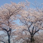 東照宮第一売店 - 