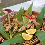 赤心 - 稚鮎塩焼き