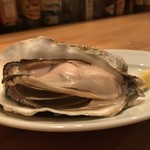 Sorpresa Oyster Bar and Grill - 