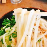 よがなうどん - 麺のアップです。（2018.6 byジプシーくん）