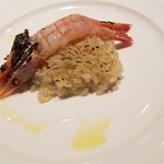 ファリナモーレ - 「ボタンエビの焼きリゾット」