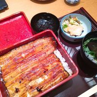 赤坂ふきぬき - 