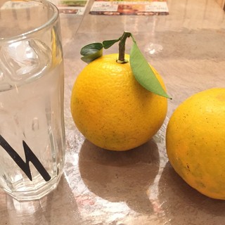 自然野菜レストラン 駒込 ナーリッシュ_1