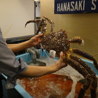 活カニの花咲 - 