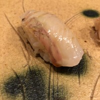 銀座 鮨 かねさか 本店 - マコガレイ