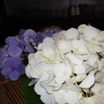 日本料理 TOBIUME - きれいな紫陽花、この下には…