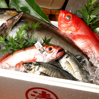 ぴっちぴちの毎朝直送の魚介海鮮