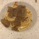 ヴィネリア ハーヴェスト - 
