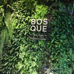 BOSQUE - 