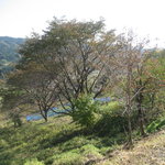 慈久庵 - 里の秋