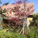 木々に囲まれていい雰囲気です。