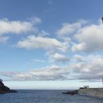 若竹 - 椿良いとこ一度はおいで！