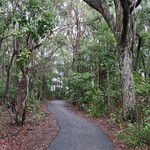 The Pass Cafe - カフェに向かう小道