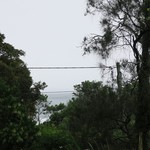 The Pass Cafe - カフェからの眺め