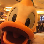 シェフ・ミッキー - ドナルドも、来てくれました♪