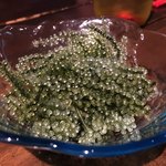 島人の宝 - 海ぶどう