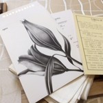 クイントカント - メニュー