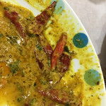 インド･パキスタン料理 ホット・スプーン - 