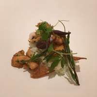 カンテサンス - 