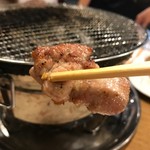 Shichirin Yakitori Icchou Matsubaraten - 