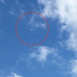 Wip Work In Progress SRL - 下弦の月