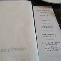 GARB pintino - 