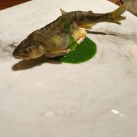 cenci - 
