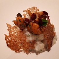 カンテサンス - 鱧とじゃがいものペースト　ジロール茸　クルトンを添えて