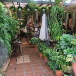 Ferringhi Coffee Garden - 