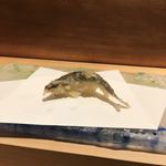 にい留 - （2018年6月）大垣の鮎(๑˃̵ᴗ˂̵)