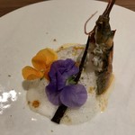 ル スプートニク - 